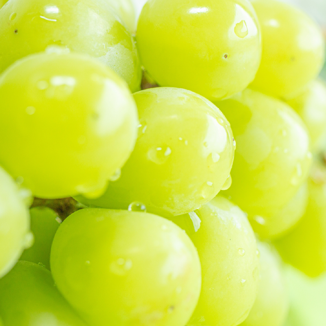 【先行予約】シャインマスカット 2kg（3～4房 国産 ブドウ シャイン マスカット 果物 産地直送 数量限定 限定）