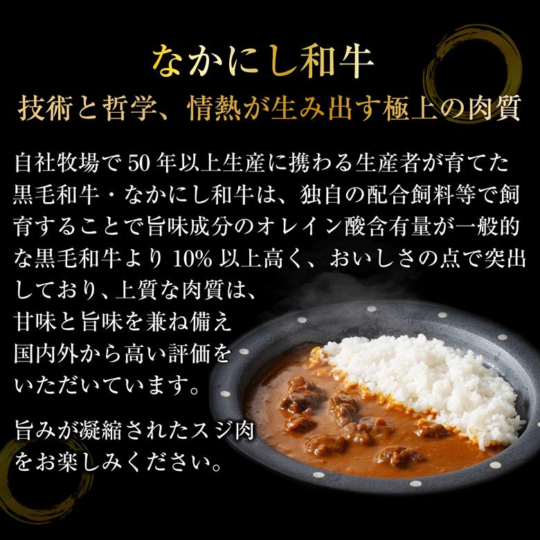 宮崎県西ノ原牧場・黒毛和牛 牛すじ ビーフカレー 5P 牛肉 国産 和牛 牛スジ カレー レトルト 簡単調理 5P