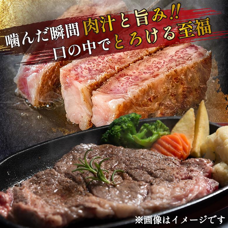 宮崎県西ノ原牧場・なかにしプレミアム和牛リブアイステーキ 800g 牛肉 黒毛和牛 国産 A4 A5 ステーキ ステーキ肉 希少 200g×4枚