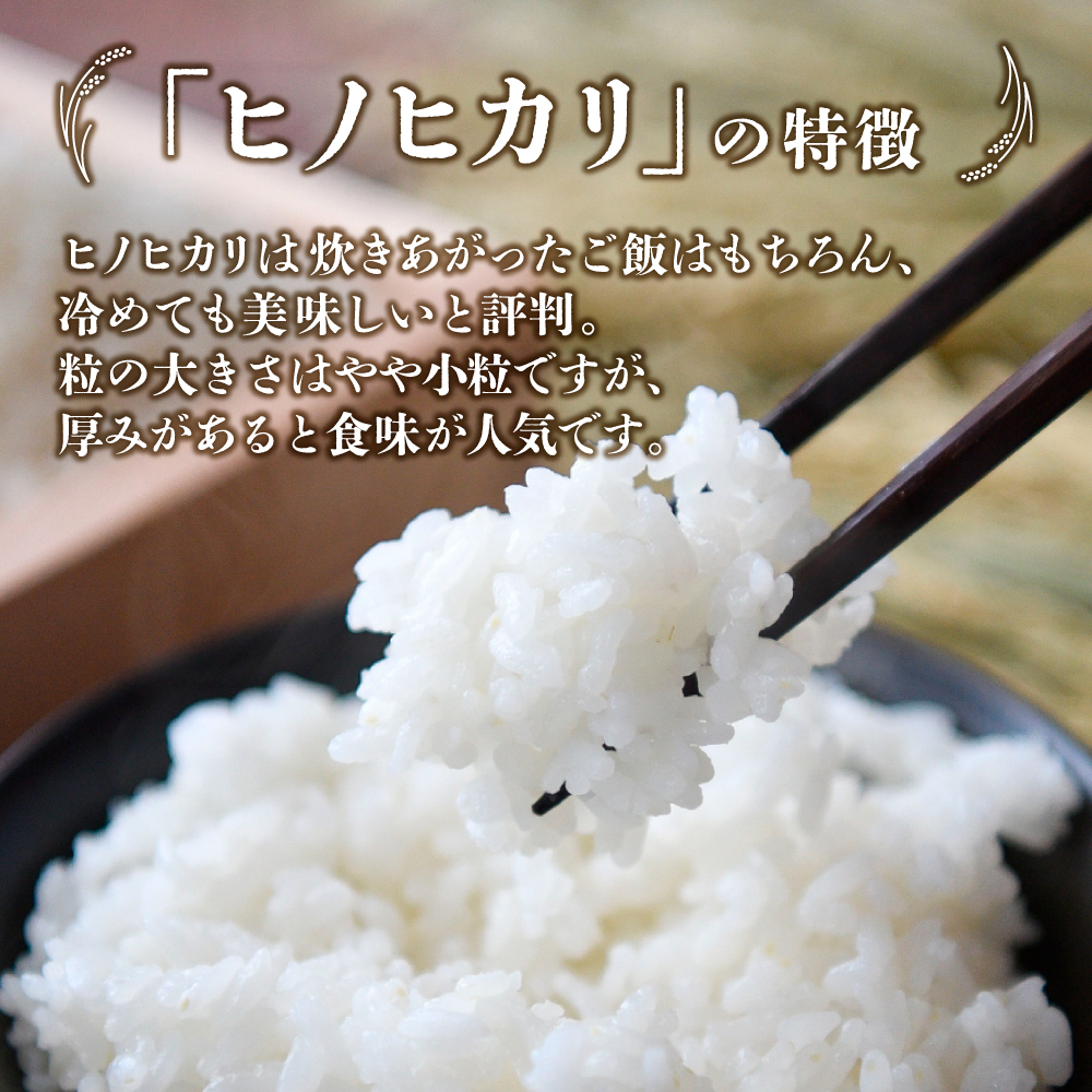 【新米 令和7年産】無洗米ヒノヒカリ 20kg（5kg×4袋 国産 米 新米 無洗米 お米 精米 令和7年新米 小分け 数量限定） 20kg