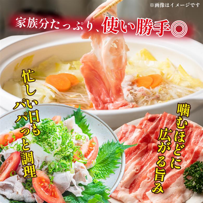 【選べる容量】【工場直送】九州産豚バラ スライス 3.2kg（ 国産 豚 豚肉 豚バラ しゃぶしゃぶ 小分け バラ 大容量 冷凍 ） 3.2kg