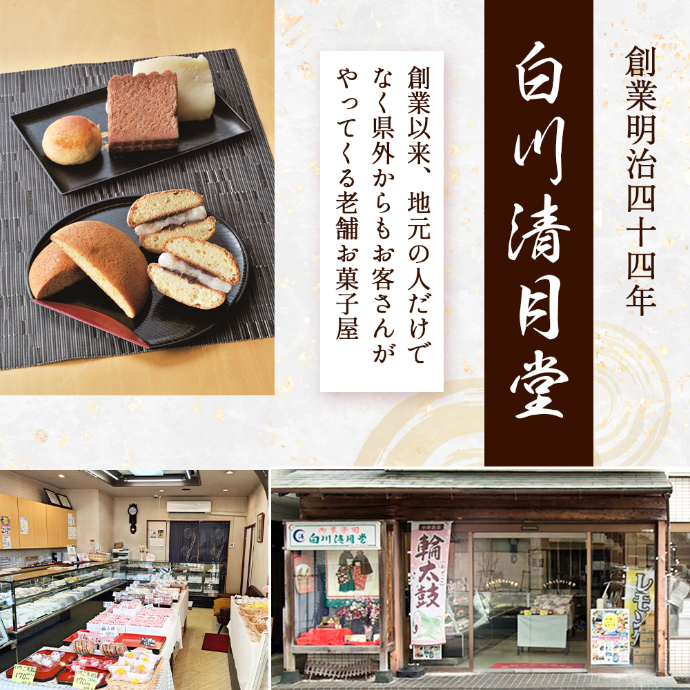 【地元銘菓】輪太鼓（わでこ）10個入（菓子 スイーツ 和菓子 ブッセ 餅 あんこ 銘菓 宮崎県）