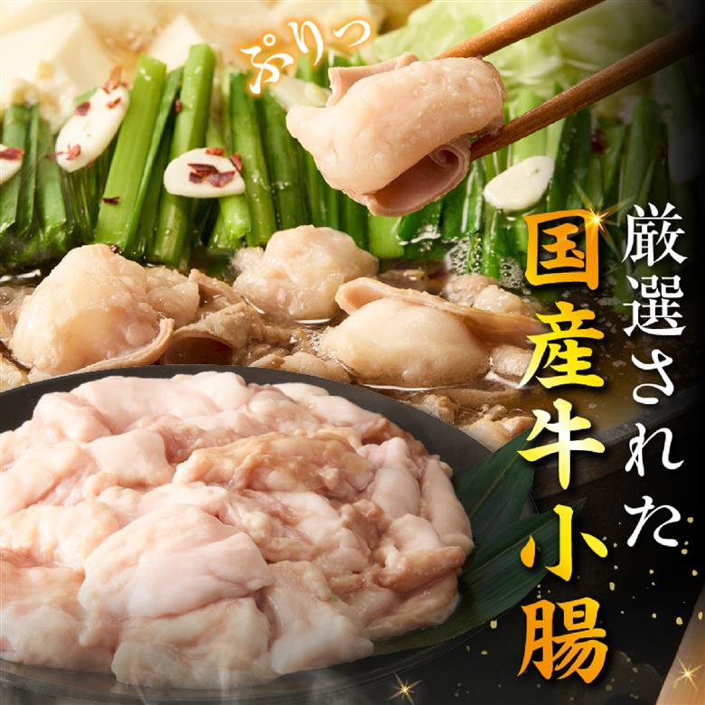 【秘伝熟成スープ】冷凍 もつ鍋セット（3人前）（ 牛肉 黒毛和牛 ホルモン もつ もつ鍋 鍋セット もつ鍋セット 鍋）