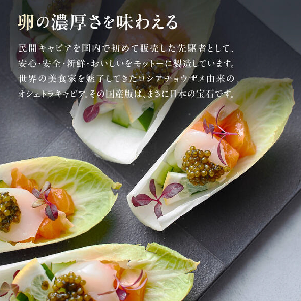 【純国産キャビア】オシェトラキャビア 60g 皇帝の涙 国産 チョウザメ 魚卵 宮崎県 小林市