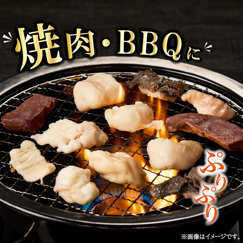 宮崎県産 ミックス ホルモン 500g×2P 計1kg（牛肉 肉 ホルモン 黒毛和牛 もつ鍋 焼肉 鍋）