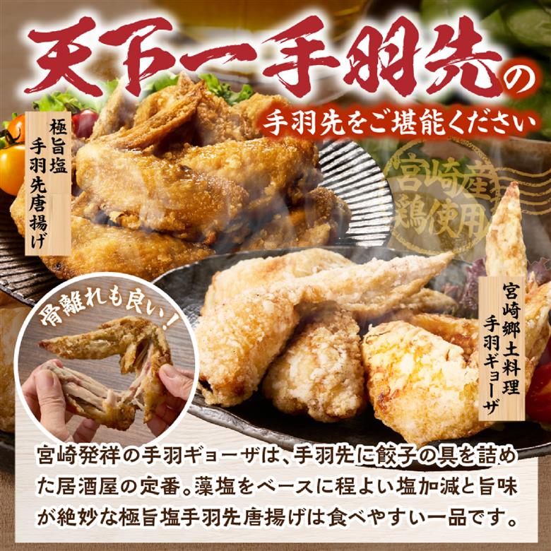 【手羽先サミット殿堂入り！】極旨塩 手羽先 唐揚げ 手羽ギョーザ セット 計12本（国産 鶏肉 手羽先 ギョウザ 餃子 塩 味付き 人気）