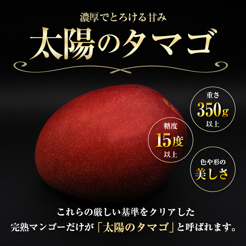 【令和8年発送 先行予約】完熟マンゴー「太陽のタマゴ」 2L×2玉（フルーツ マンゴー 完熟マンゴー アップルマンゴー 果物 くだもの 先行受付） ２L×２玉