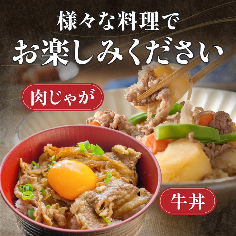 【訳あり】A4等級以上 宮崎牛切り落とし 500g×2P 計1kg（内閣総理大臣賞 A4 A5 宮崎牛 牛肉 黒毛和牛 赤身 切り落とし 小間切れ 宮崎県）