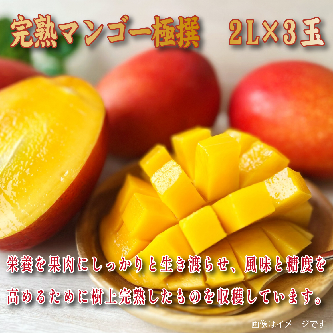 【2026年発送 先行予約】生産農家応援・濃厚果肉 みやざき完熟マンゴー極撰 2L×3玉（マンゴー フルーツ アップルマンゴー 果物 くだもの 2026 先行受付 宮崎）