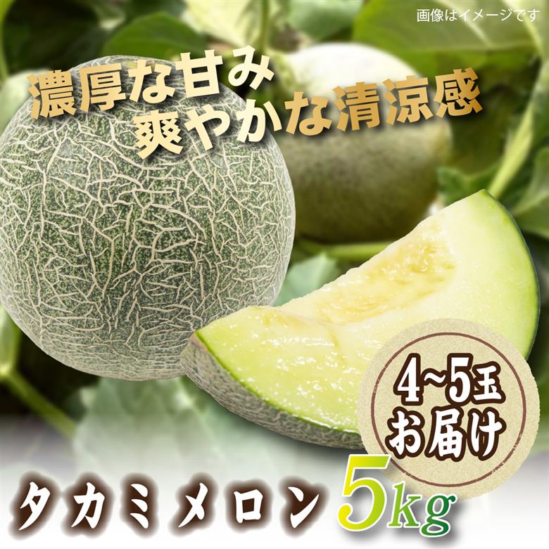 【2026年発送 先行予約】生産農家応援・もぎたて直送 タカミメロン 5kg程度（メロン フルーツ 果物 くだもの 先行受付 2026 宮崎）