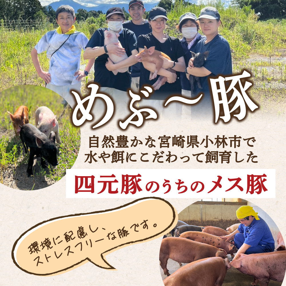 【地元ブランド豚】めぶ～豚 豚バラしゃぶしゃぶ用 1.4kg（豚肉 豚 お肉 豚バラ バラ しゃぶしゃぶ用 小分け） 1.4kg（200g×7P）