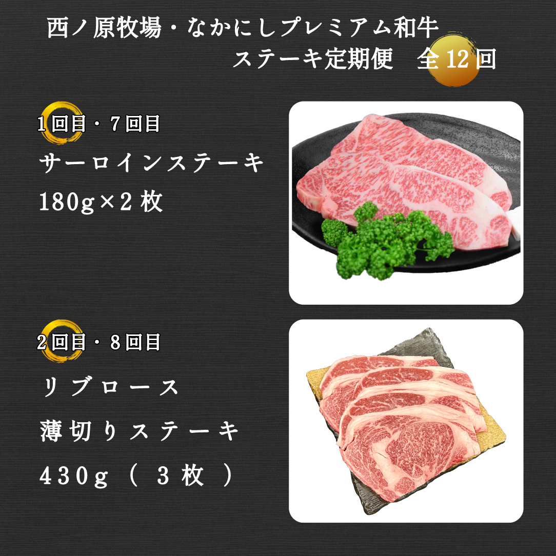 【定期便 全12回】宮崎県西ノ原牧場・なかにしプレミアム和牛ステーキ定期便（牛肉 黒毛和牛 ステーキ サーロイン モモ ヒレ シャトーブリアン 定期便 A4 A5） 12回定期