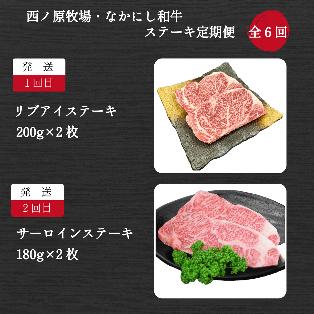 【定期便 全6回】宮崎県西ノ原牧場・なかにし和牛ステーキ定期（牛肉 黒毛和牛 お肉 ステーキ 赤身 モモ サーロイン ヒレ 定期便） ６回定期