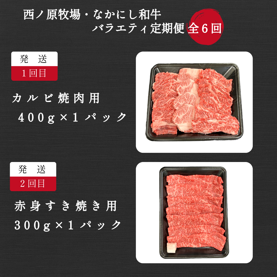 【定期便 全6回】宮崎県西ノ原牧場・なかにし和牛バラエティ定期便（牛肉 黒毛和牛 すき焼き しゃぶしゃぶ 焼肉 赤身 ステーキ 定期便） ６回定期
