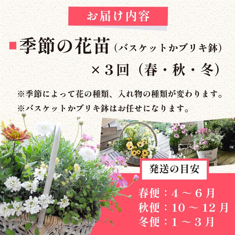 【定期便3回】季節の寄せ植え（ガーデニング ギフト寄せ植え 贈答用寄せ植え 母の日 誕生日 記念 定期便）