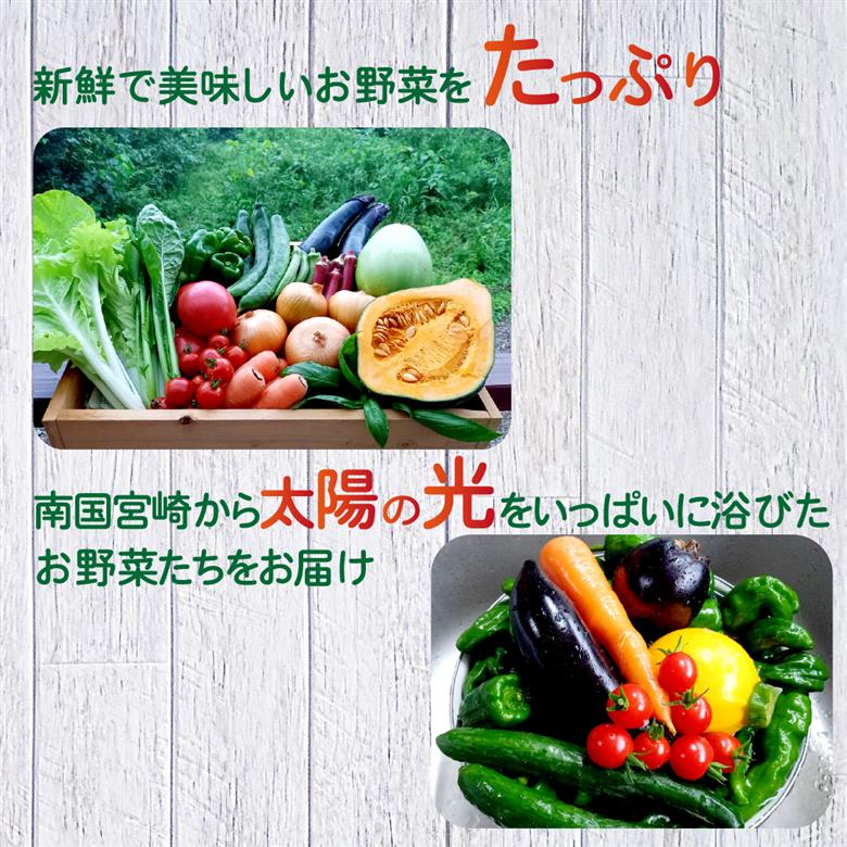 【定期便 全3回】季節の野菜詰め合わせセット（新鮮 採れたて 野菜 セット 定期便 詰め合わせ 宮崎県） ３回定期