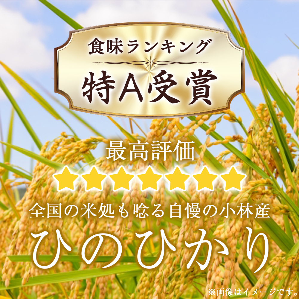 【定期便 全12回】令和7年産米 ヒノヒカリ 5kg×12回 計60kg（お米 米 新米 ヒノヒカリ 国産 人気 お弁当 宮崎県 小林市） 5kg×12回