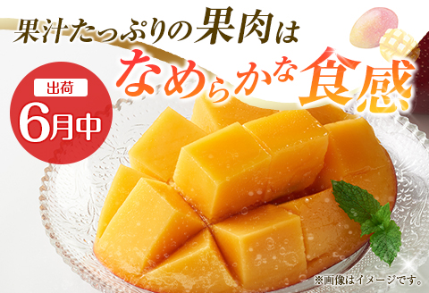 【定期便・全2回】完熟マンゴーとシャインマスカット定期便（マンゴー 完熟マンゴー アップルマンゴー ブドウ ぶどう マスカット 定期便）