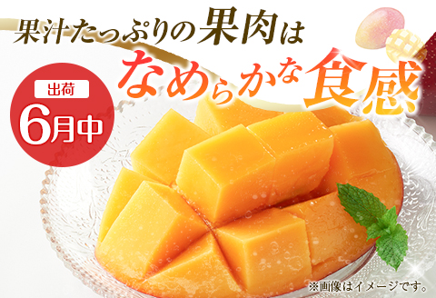 【定期便・全2回】完熟マンゴーとピオーネ定期便（マンゴー 完熟マンゴー アップルマンゴー ブドウ ぶどう 種なし ピオーネ 定期便）