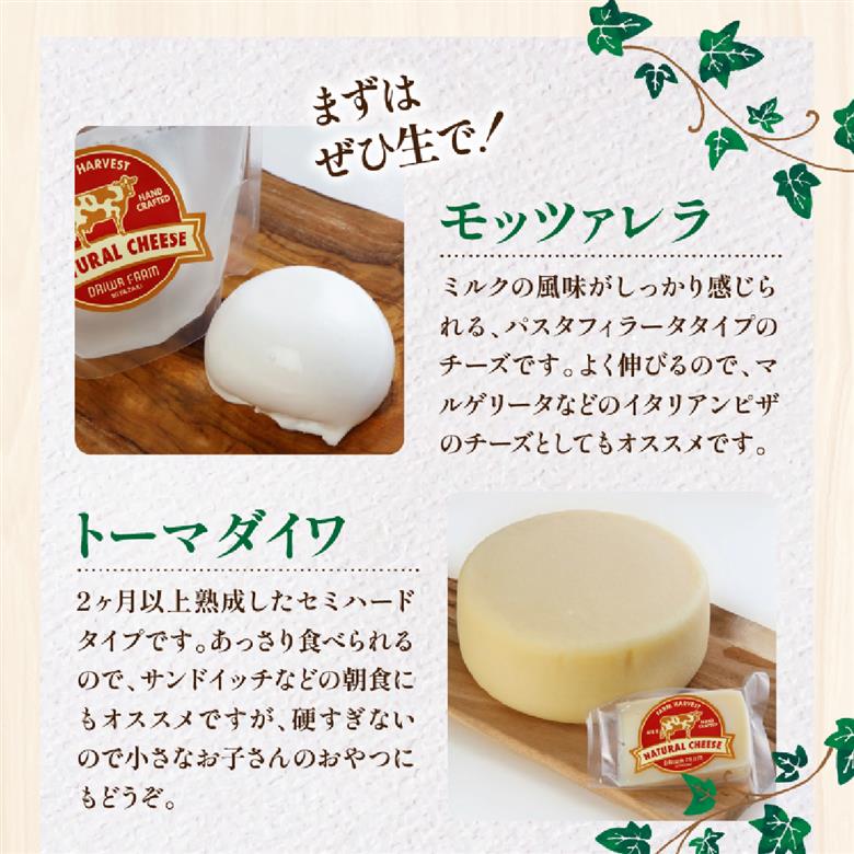 【国内外コンテスト受賞！】奇跡のチーズセット（国産 ナチュラルチーズ 乳製品 チーズ コンテスト受賞 人気 霧島 宮崎 小林市 地域限定）