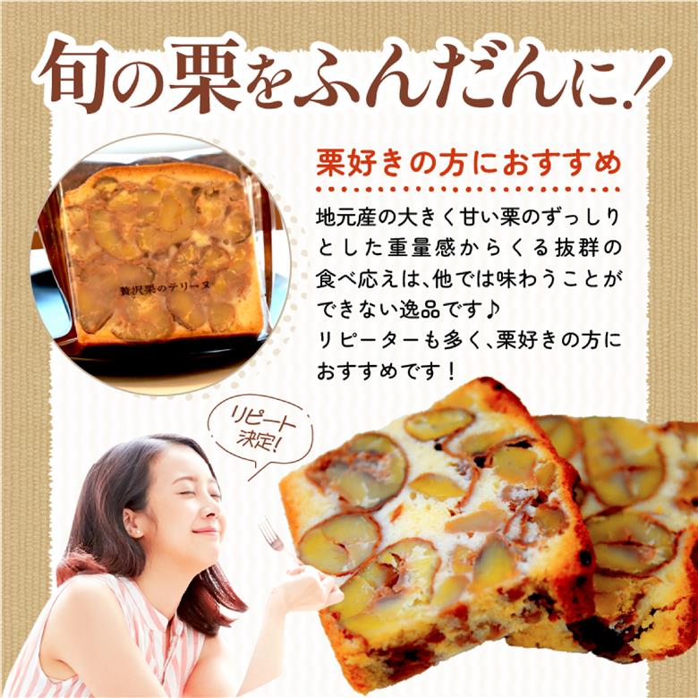 【まもなく受付終了】ごろごろ須木栗の贅沢テリーヌ（栗 お菓子 人気 スイーツ ギフト 贈答用 数量限定 送料無料）