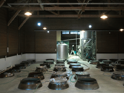 【dancyu全国利き焼酎軽快部門第2位】すき酒造“山美娘25度”ハーフボトル　720ｍｌ