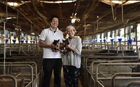 黒豚点心(大)セット<130g×7個セット：桑水流畜産>