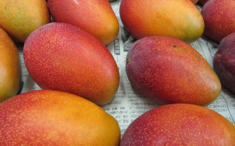 こだわりマンゴージャムセットプチ<のじり農産加工センター>