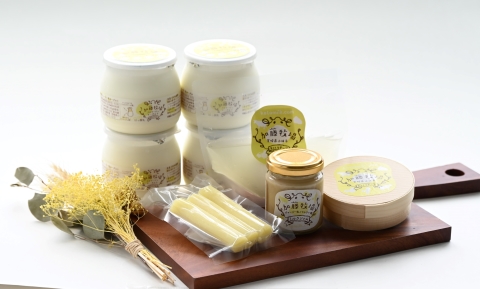 【霧島連山の麓・加藤牧場直送】ジャージーミルクの濃厚ヨーグルトと生乳100％チーズ３種（国産 ナチュラルチーズ ヨーグルト 乳製品 牛乳 チーズ コンテスト受賞  人気 霧島 宮崎 小林市 地域限定）