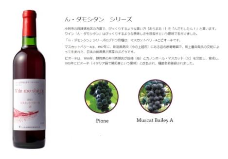 【高原のフレッシュワイン】マスカットベリーA（赤・辛口）