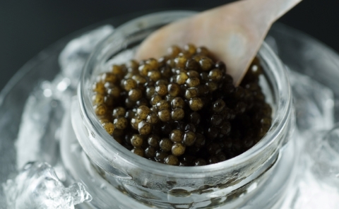 【純国産キャビア】皇帝の涙２種食べ比べおためしセット 10g 国産 チョウザメ キャビア オシェトラ 食べ比べ