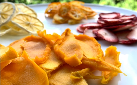 【旬の果物100％】果物好きのためのドライフルーツ　宮崎完熟マンゴーセット