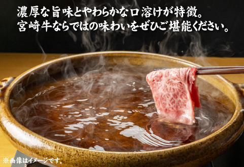 【A4等級以上】宮崎牛肩ロースしゃぶしゃぶ用 500g（国産 牛肉 宮崎牛 黒毛和牛 ロース しゃぶしゃぶ 霜降り 赤身 人気）