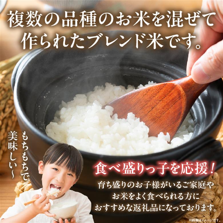 【生活応援米】湧水で育った小林市産ブレンド米 10kg（国産 お米 米 精米 ブレンド米 白米 家庭用）
