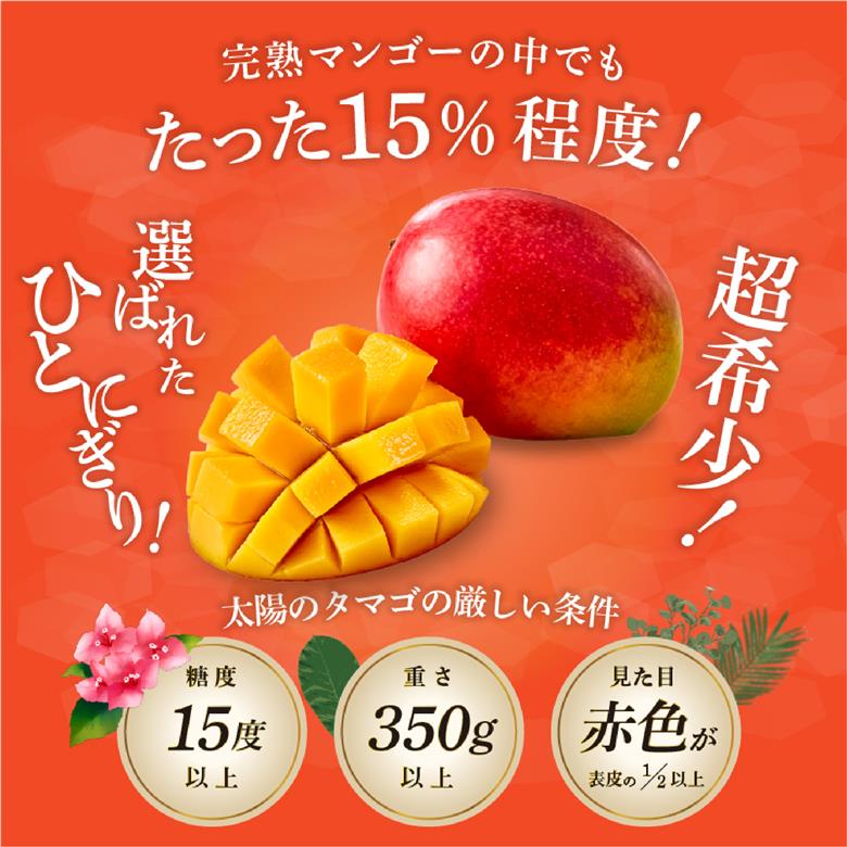 【先行受付】厳選宮崎完熟マンゴー「太陽のタマゴ」よくばり3玉 計1kg程度（マンゴー 完熟マンゴー 太陽のタマゴ フルーツ 先行予約 宮崎 果物）