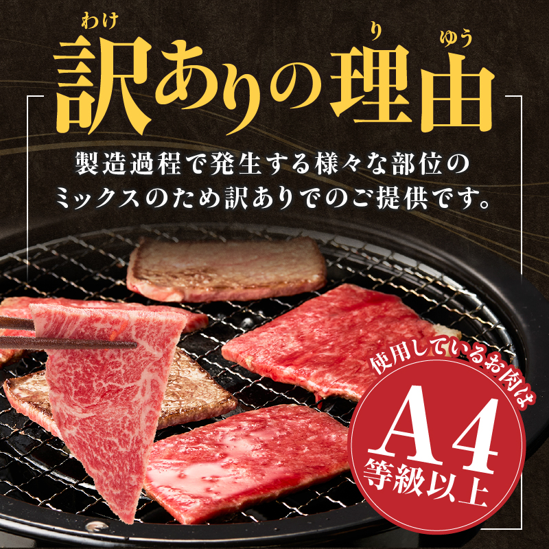 A4等級以上 宮崎牛 訳あり 焼肉 バラエティパック 1kg（牛肉 肉 お肉 黒毛和牛 宮崎牛 ブランド牛 内閣総理大臣賞4大会連続受賞）