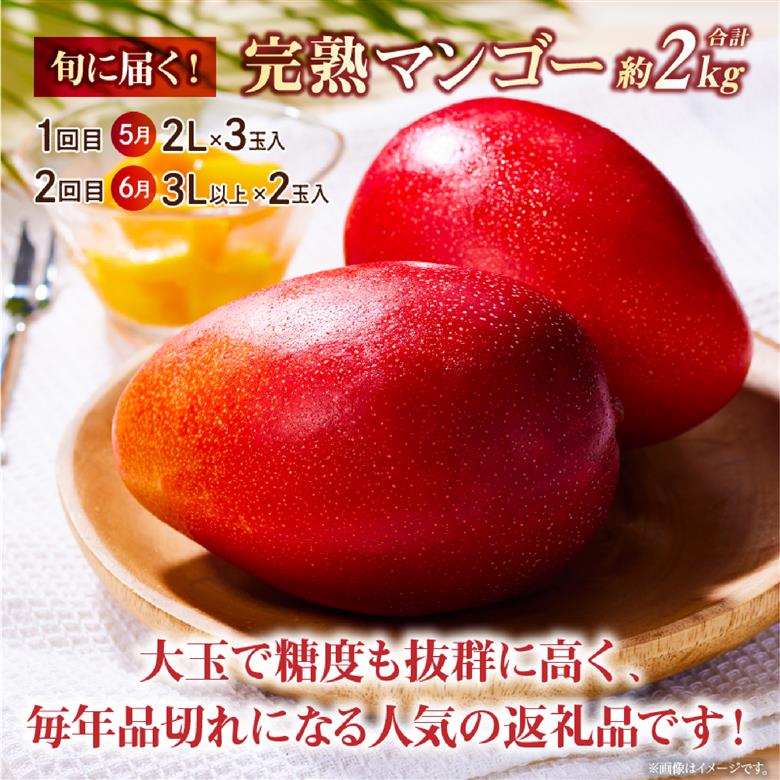 【先行予約！マンゴー定期便・全2回】小林市産「完熟マンゴー」コース(5月,6月）定期便 フルーツ フルーツ定期便 2026 マンゴー 先行予約 宮崎 果物 人気