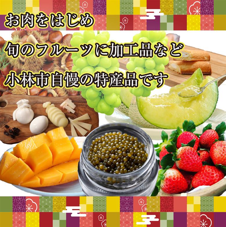 【定期便・全24回】新春おたのしみ お年玉コース  金金金（牛肉 豚肉 鶏肉 フルーツ スイーツ 2026 先行予約 定期便 宮崎 小林市）