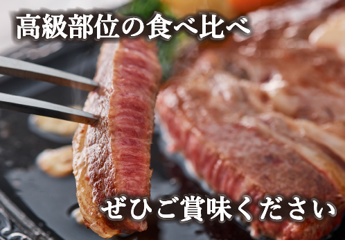 【A4等級以上】黒毛和牛ステーキ肉高級部位２種＜リブロース・サーロイン＞食べ比べ（計900ｇ）