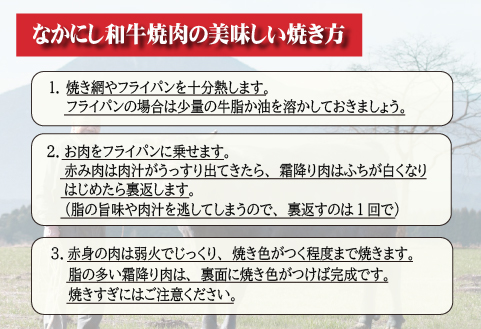 【生産者直送】なかにし和牛霜降り焼肉-上-（産地直送 小林市産 国産 牛肉 和牛 霜降り 焼肉 送料無料） 上 400g
