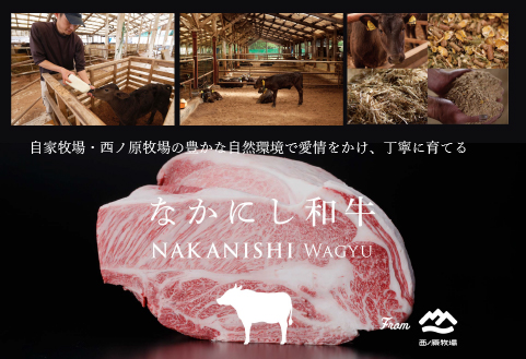 【生産者直送】なかにし和牛赤身焼肉 -特上-（黒毛和牛 小林市産 国産 牛肉 和牛 赤身 焼肉 産地直送 送料無料） 特上 360g