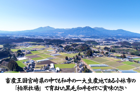 【自社農場和牛】メス指定黒毛和牛ハラミ 300g（国産 黒毛和牛 牛肉 ハラミ 焼肉 BBQ 冷凍）