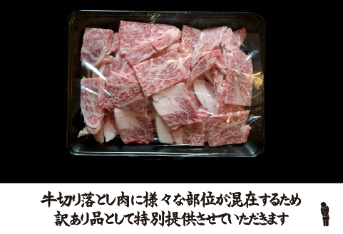 宮崎県産 牛・豚・鶏 焼肉おためしBセット 計2kg（牛肉 豚肉 鶏肉 和牛 焼肉 訳あり 小分け 食べ比べ）