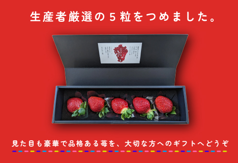 【大粒厳選】プレミアムいちご レッドパール 5粒（果物 フルーツ イチゴ 苺 いちご 大粒 大玉 贈答用 プレゼント 2026 期間限定）