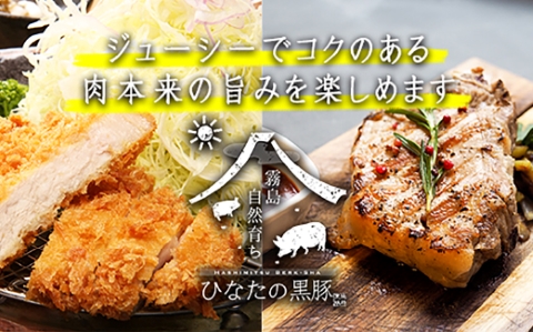 【料理王国100選に選出!!】ひなたの黒豚 本ロース詰め合わせ 880g（豚肉 黒豚 豚 しゃぶしゃぶ用 しゃぶしゃぶ とんかつ用 ロース 小分け）