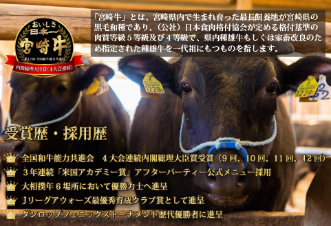 【12/22から寄附額改定】A4等級以上 宮崎牛 ロースステーキ 600g（牛肉 黒毛和牛 畜産農家応援 ロース ステーキ 赤身 数量限定）