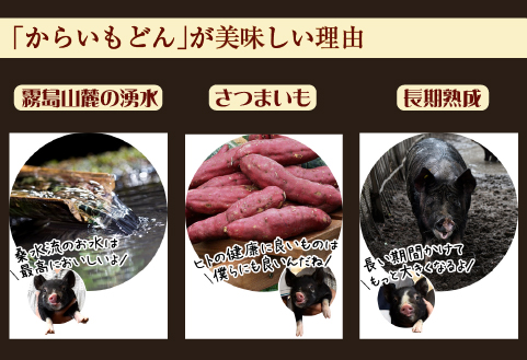【牧場直送の新鮮黒豚】桑水流黒豚からいもどんみそ漬けセット 10P（豚肉 豚 黒豚 ロース ヒレ 味噌漬け みそ おかず）