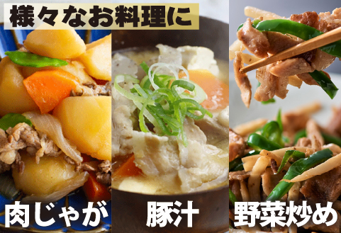 【定期便・全3回】九州産 豚肉満足 切り落とし 定期便（豚肉 切り落とし 小間切れ 定期便）