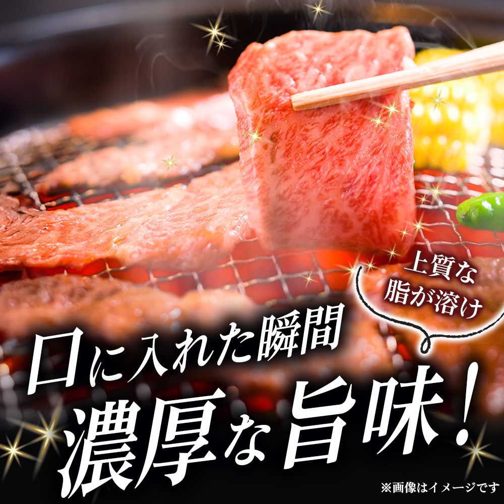 【選べる容量】【A5等級】宮崎牛特選霜降り焼肉 1.2kg（400g×3P） 宮崎牛 プレミアムシリーズ ブランド牛 和牛 牛肉 焼肉 特選和牛 霜降り A5 宮崎県 小林市 1.2kg