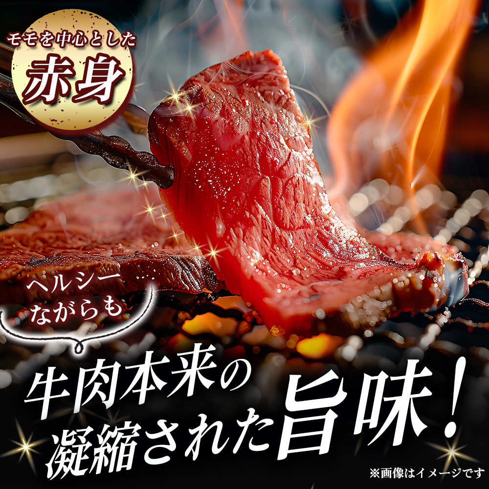 【選べる容量】【A5等級】宮崎牛 特選焼肉セット 計1.2kg（赤身・霜降り） 宮崎牛 プレミアムシリーズ ブランド牛 和牛 牛肉 焼肉 特選和牛 霜降り A5 宮崎県 小林市 1.2kg